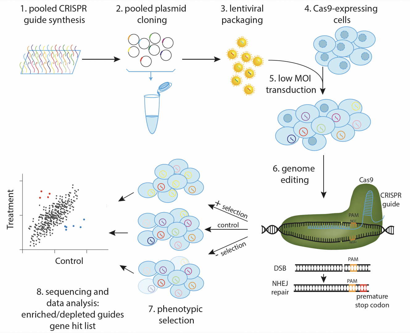 CRISPR Functional Genomics - SciLifeLab