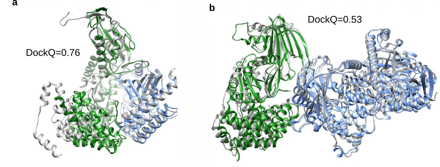 New Approach Increases AlphaFold 2’s Effectiveness For Protein ...