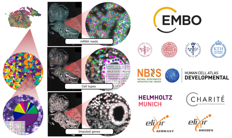 BioImage Informatics - SciLifeLab