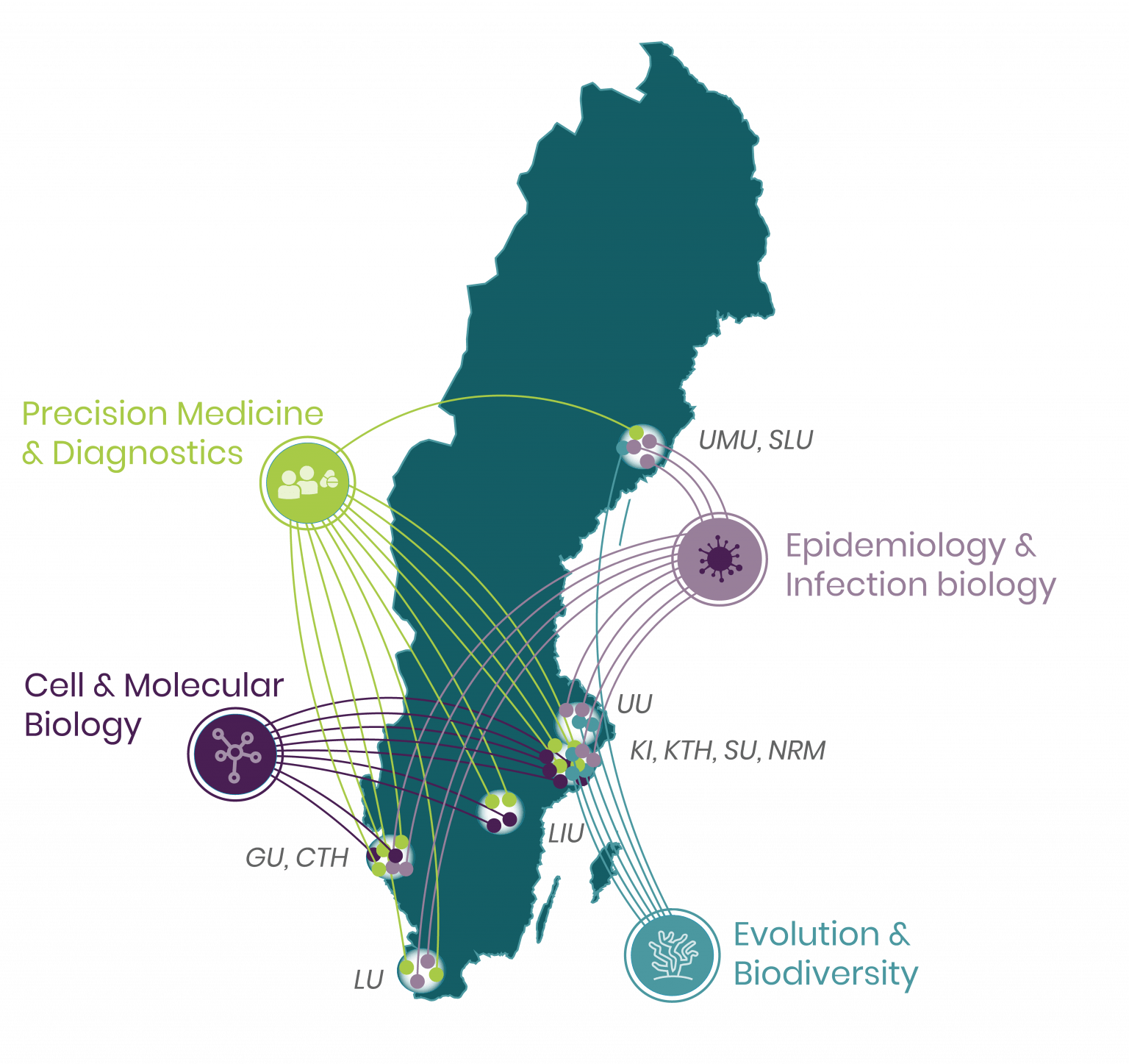 DDLS Fellows recruitment SciLifeLab